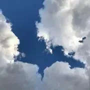 potetoの画像