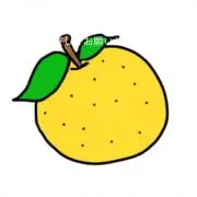 ぽろん