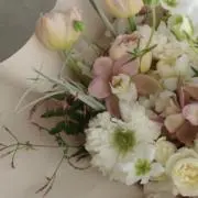 pichanの画像