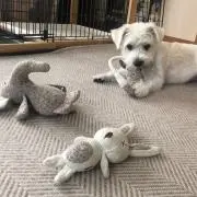 yurilaの画像