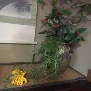 micoの画像