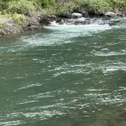 のちのちの画像