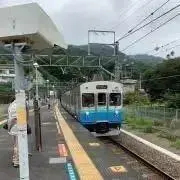 わたがし