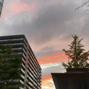 RiRiの画像