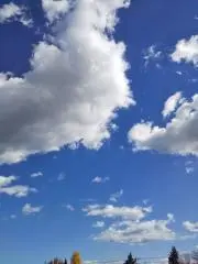 カプチーノの画像