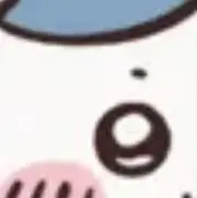 ねこの画像