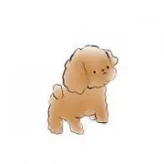 popo