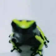 ナロ