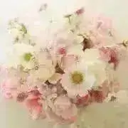 あ⭐︎プロフィール御一読くださいの画像
