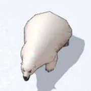 シロクマの画像