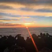 ラビットの画像