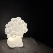 ありちゃんの画像