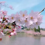 じゅんの画像