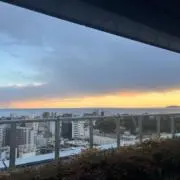 マニマーニ君