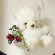 うみの画像