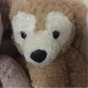さくらの画像
