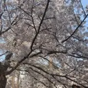 みいこの画像