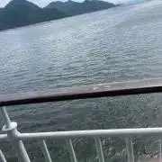 購入前にプロフィール確認くださいの画像