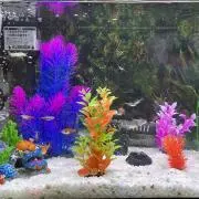 どんぐりの画像