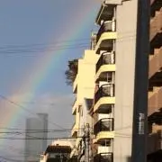 プロフぜったいみてください