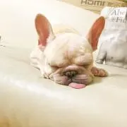 ☆KEI☆DVD出品中
