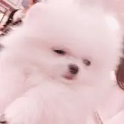 ▽・x・▽