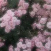 なっつの画像