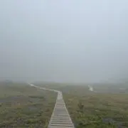 tomoの画像