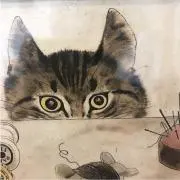 Tsunaの画像