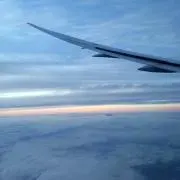 ゆうの画像