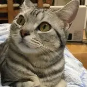 kieの画像