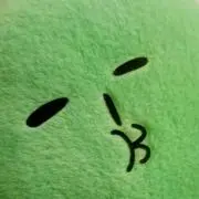 せりざわ