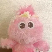 すなぎも