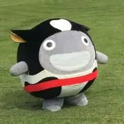 はるちゃんパパの画像