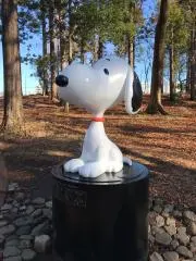 キキの画像