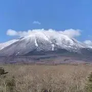 Lady.mの画像