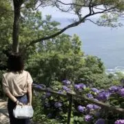 コロの画像