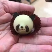 .の画像