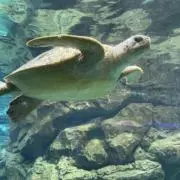 mh@シール整理中