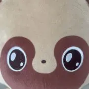 ぽんきちꕤ︎︎·͜·の画像