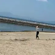 のんのの画像