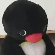 kinakoの画像