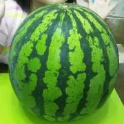 あるた