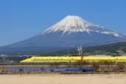 ボリボリの画像