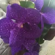 もり18