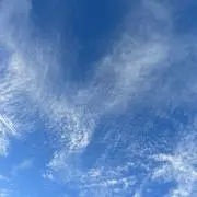 アイスクリームの画像