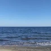 ふうの画像