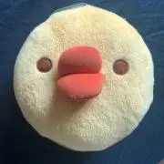 nの画像