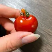 naasanの画像