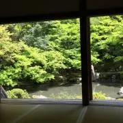Teltelの画像